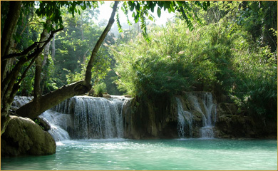 Remote North Explorer