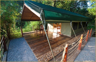 Forest Floor Lodge, Cat Tien National Park