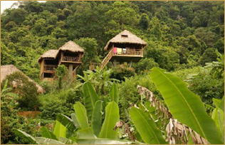 Jasmine Valley Ecolodge